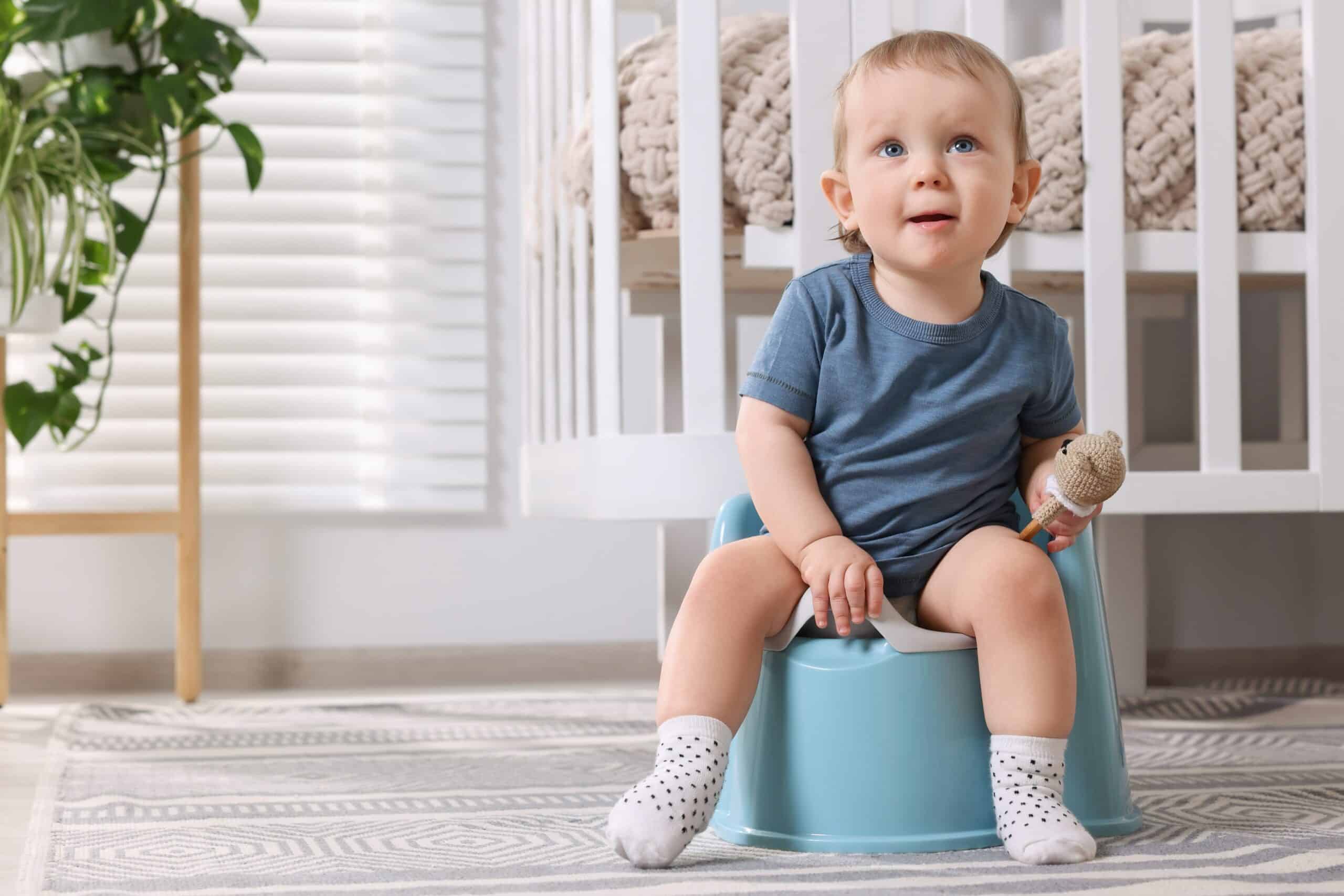 Toddler sitting on a potty training toilet