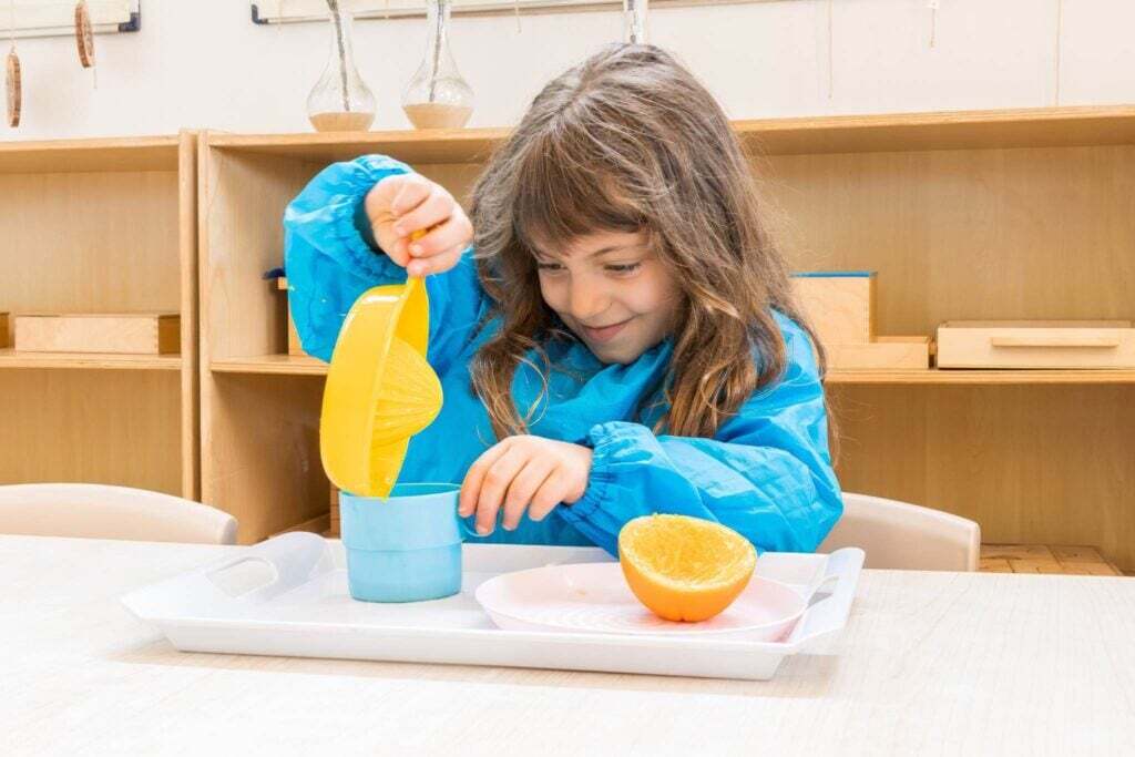 Independent Montessori Preschooler engaged in orange juicing activity part of Montessori Practical Life Curriculum