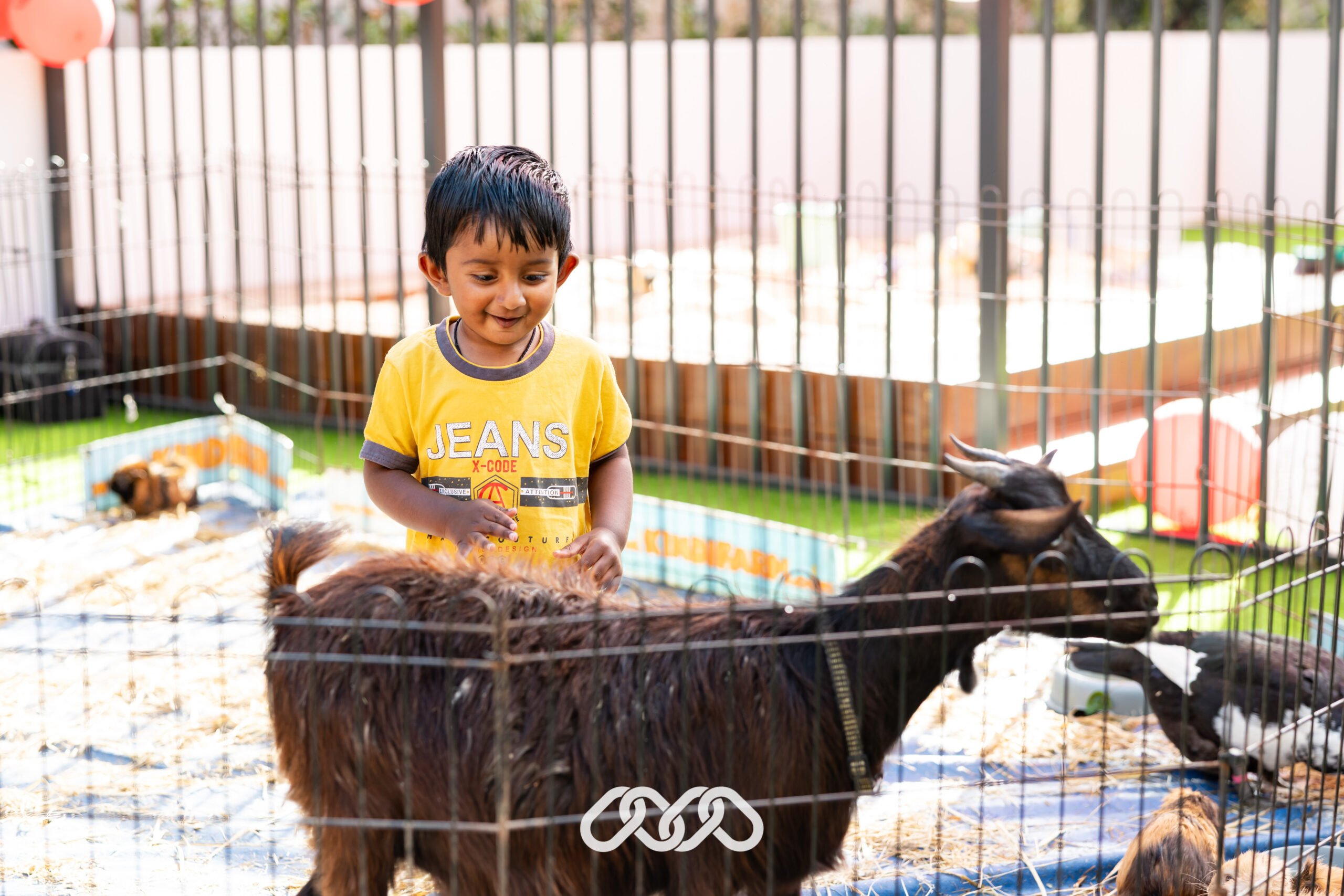 Child and baby goat at petting zoo in outdoor area of Penrith Derby Street Montessori Academy.